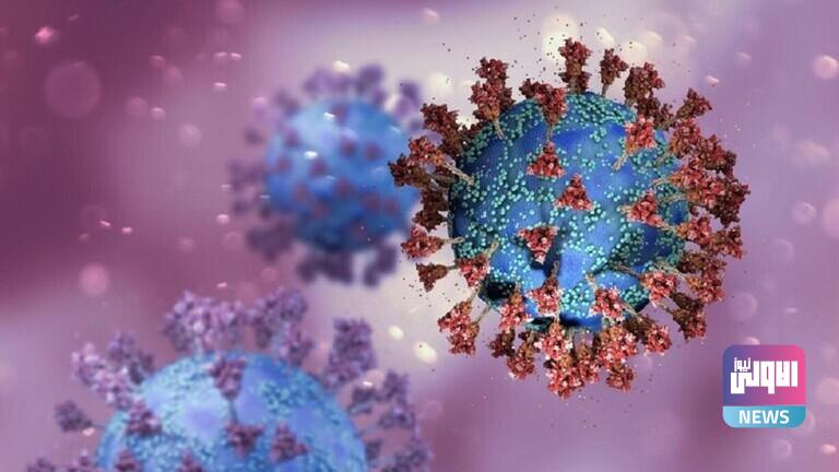 6200c42442360479d65fd142