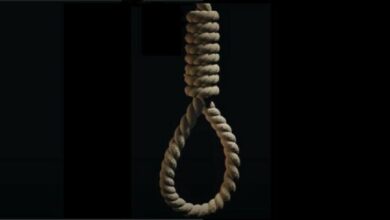 6200d08a423604261804ff1f