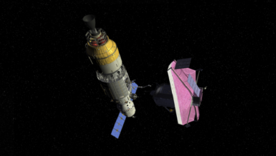 6200e1bd42360423404629c4