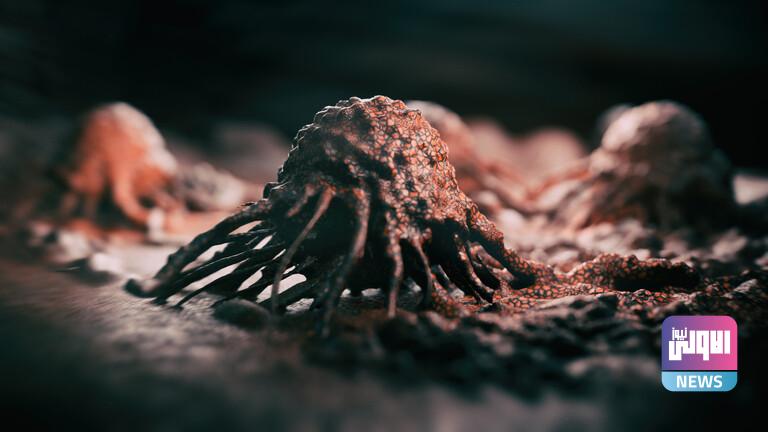 62021d004c59b72eb223a0d9