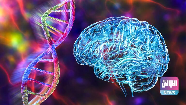 620227684236046a1f63cd21