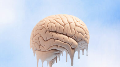 62025afd4236046ea479639e