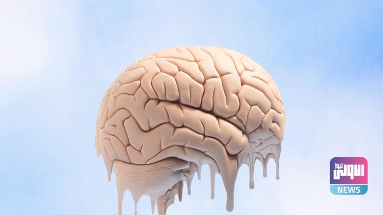 62025afd4236046ea479639e