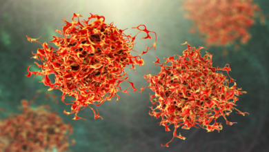 6202718642360430e31ea6c0