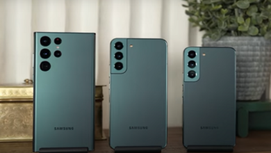 6204f3f54236045e9630ef74