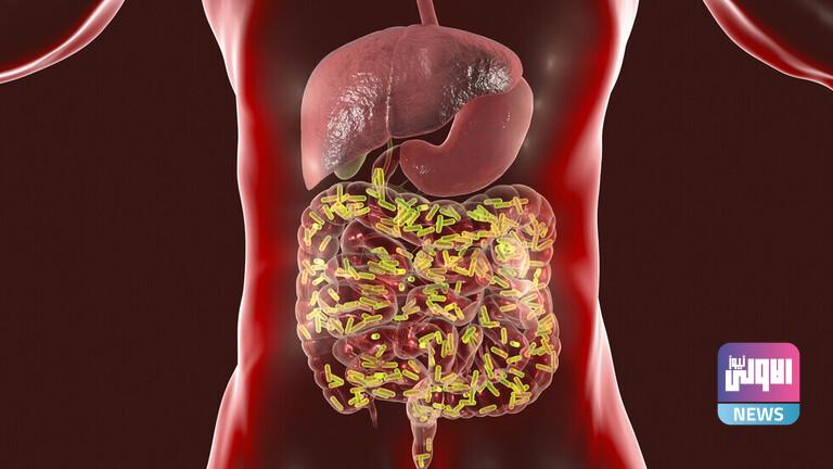 كيف تتطور البكتيريا المعوية التي تشكّل حياتنا 1 62051b56423604170366fb5b