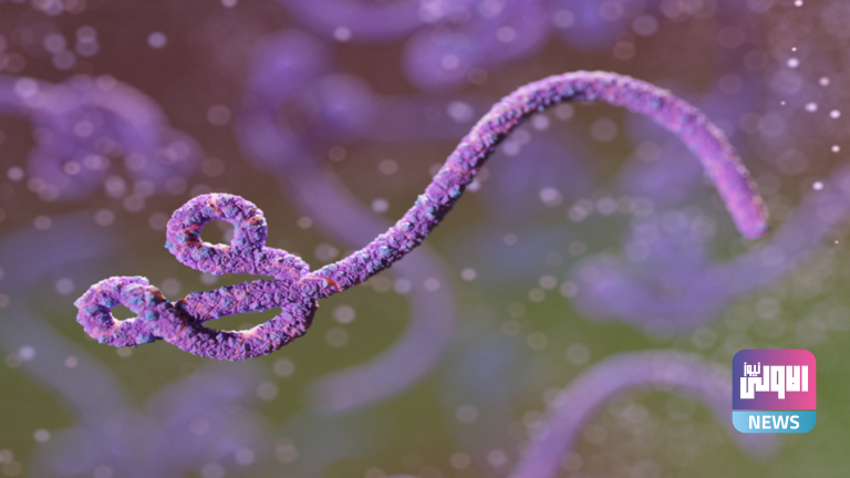 620634c5423604044a28d451