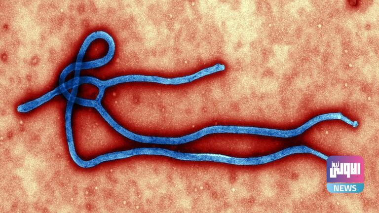 620643304c59b70b24207350