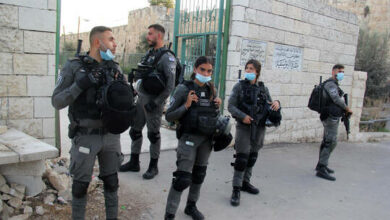 62064b9c42360479d82278a7