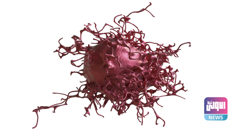 6206663342360477582b13b5