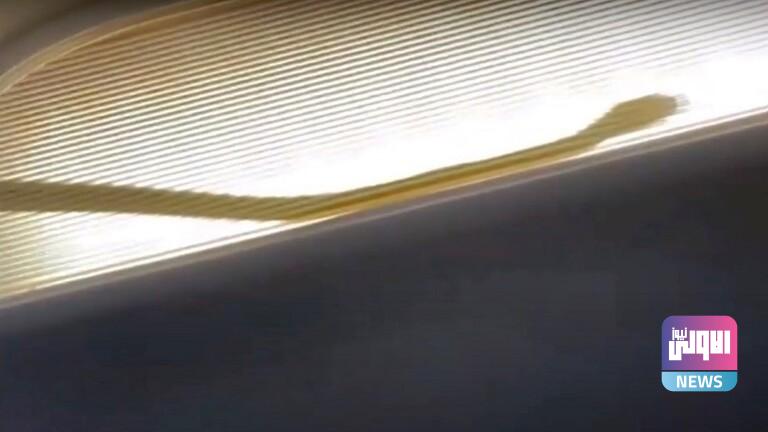 6208517d42360440327d6c8e