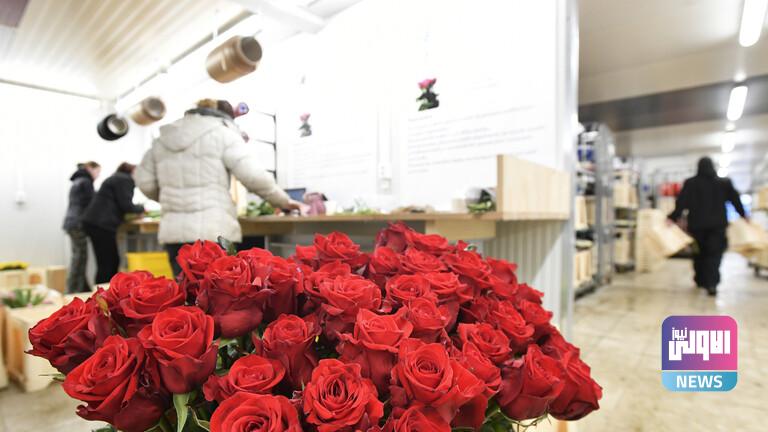 6208e29c42360415d45ee393