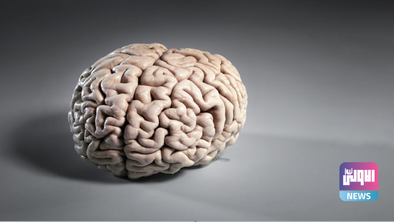 620a3805423604646572c0cb