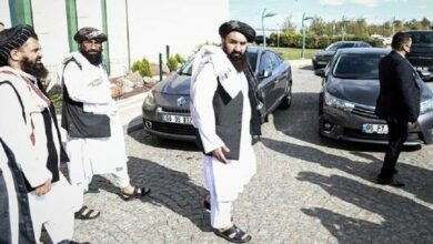 620ca5cd42360471697134d7