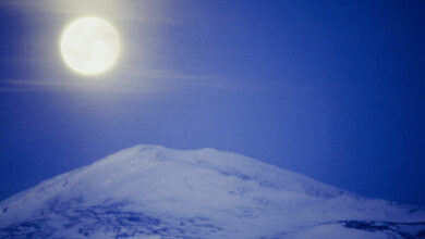 620cbf90423604712d783f39