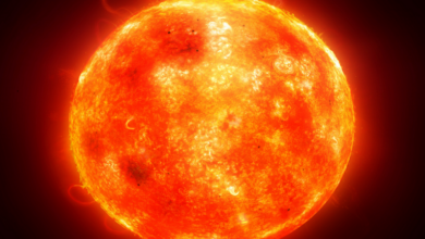 620f740242360450d01fd9ef