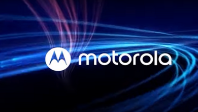 620fa99042360430aa6c6252