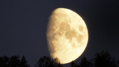 621110cf4c59b73429027b11