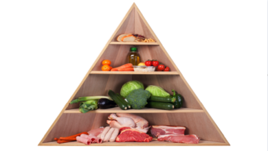 621383a842360463df4cf0c8