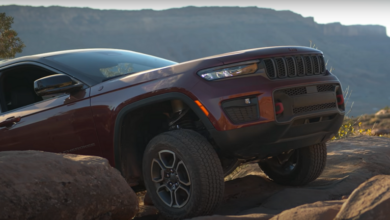 62139f95423604146c216695