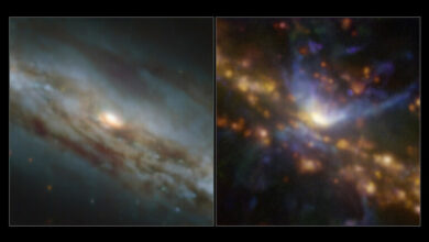 6214a25842360452f32dc1fd