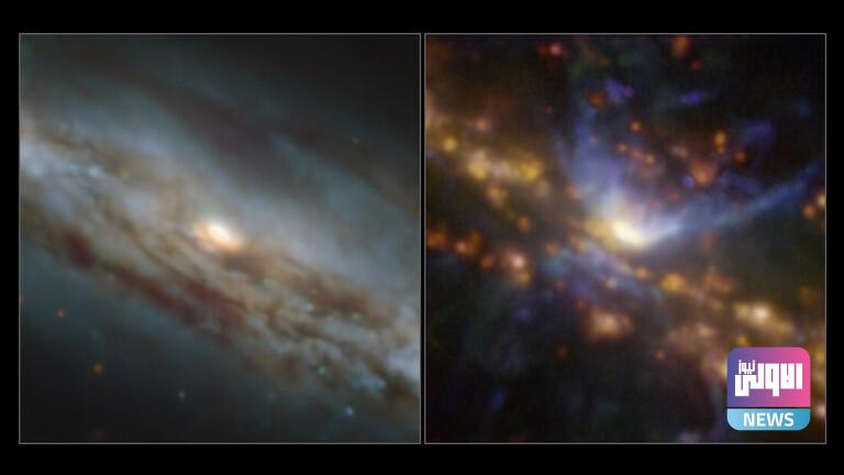 6214a25842360452f32dc1fd