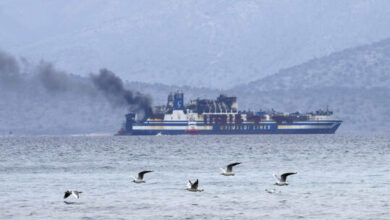 6217766f4c59b770fd78e815