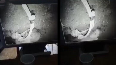 67C37948 F515 4A62 92A7 7D17F29B5B8E