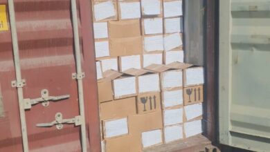 6CF695B8 A02A 4E4D B6D5 F00CED719348