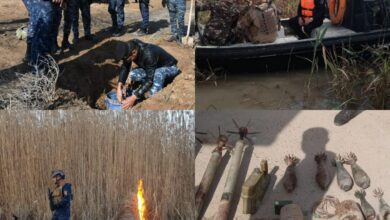 720919FF 7DA5 4A16 91D1 5BF01934CF9C