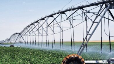 74D277F3 AAD2 4E6A 88F7 97C35F75CC79