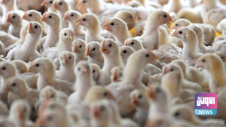 79420D1D A9EE 488E 8032 E09CEB985E6C