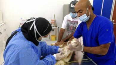 7CE90942 CC26 4EF7 88A3 977590D564F1