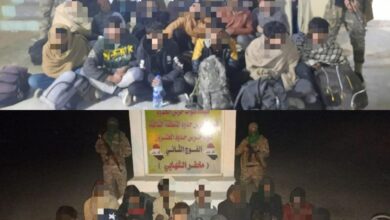 7D548835 8786 4654 983F 68C8FCBD57DB