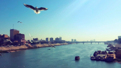 82E36D62 E9CD 47B4 80F4 7D1CB435B6C7