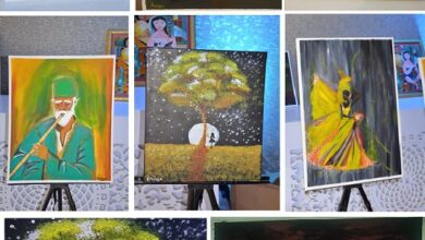 86D3B8FE 8020 40C5 B260 F54798900F20