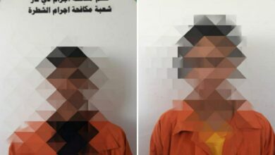 95805474 75D3 487E B15B 66082E38D6E8