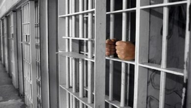 986CB632 26D1 4A9D 9D1F 5853A4762E1D