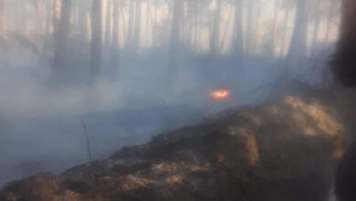 9B6F9B84 725E 4CFB BBBB 614A802502D9