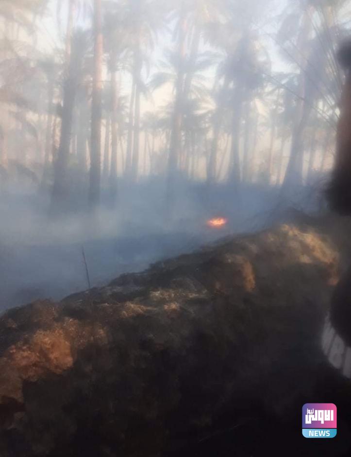 أطفال يحرقون بستاناً في بلدة عراقية حدودية 1 9B6F9B84 725E 4CFB BBBB 614A802502D9