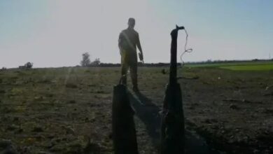 9F15DFE1 C95F 4833 91A2 A874782DF366