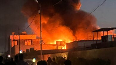 AA545202 1270 4F65 8D3C FE6E5409DBED