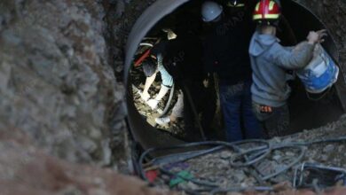 BAB22AEB F852 40CD B50B 2D4ECDE5C69D