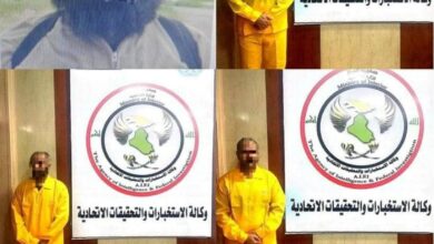 BBEDA258 7A8F 48FF 9E75 D1F8CE67D636