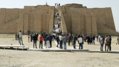 C453C920 B343 49C4 9D7B 8BC01B944FE6