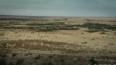 C61EF894 4568 447F 80CE EFD64E264D27