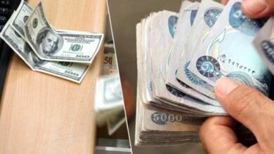 CE7092F6 0820 4212 84DC 6FF7D3003F69