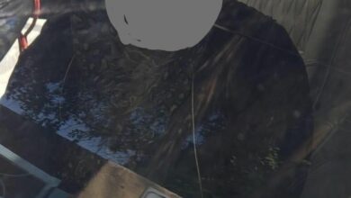 CF0F9D9B 7364 45AC B381 E28142B2975B