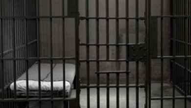 D60B76BB 931B 4614 AEFE EA708712F07D