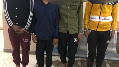 DD355154 E3A2 49E1 B7B0 7B765952B812